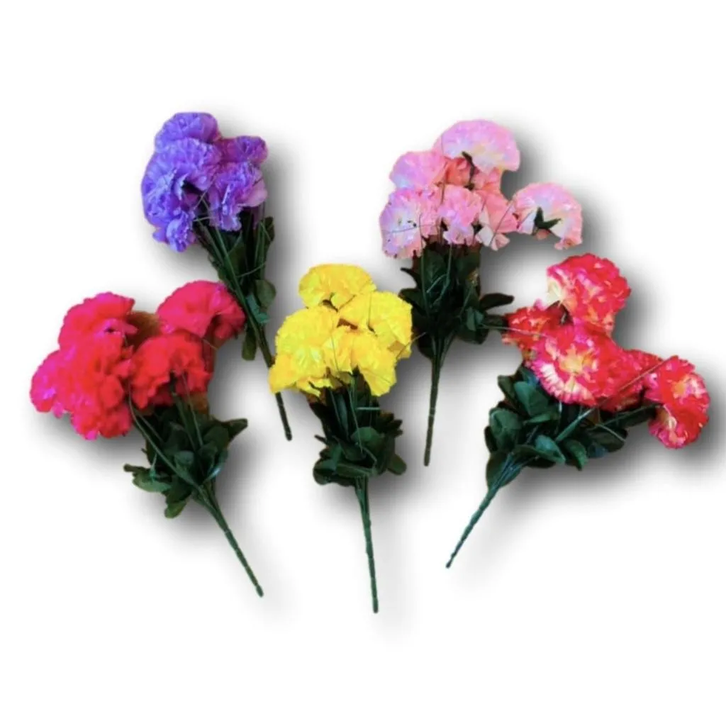 Bunch of Large Headed Carnations
