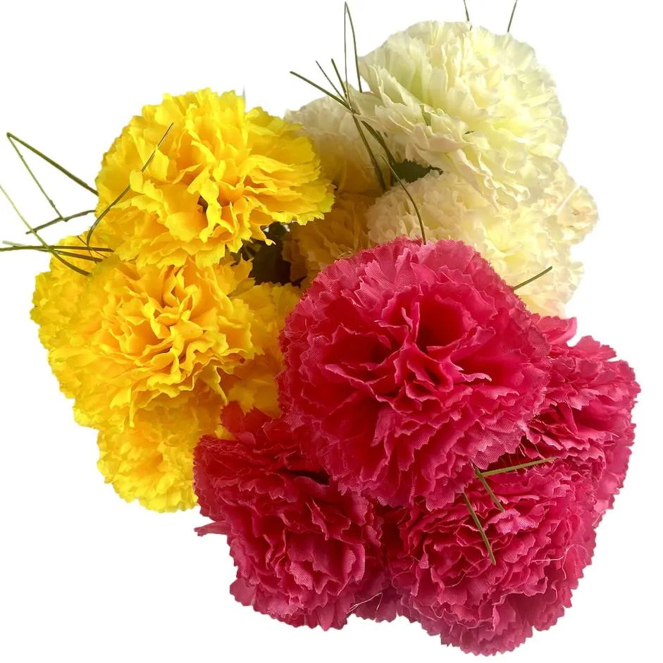 Bunch of Large Headed Carnations