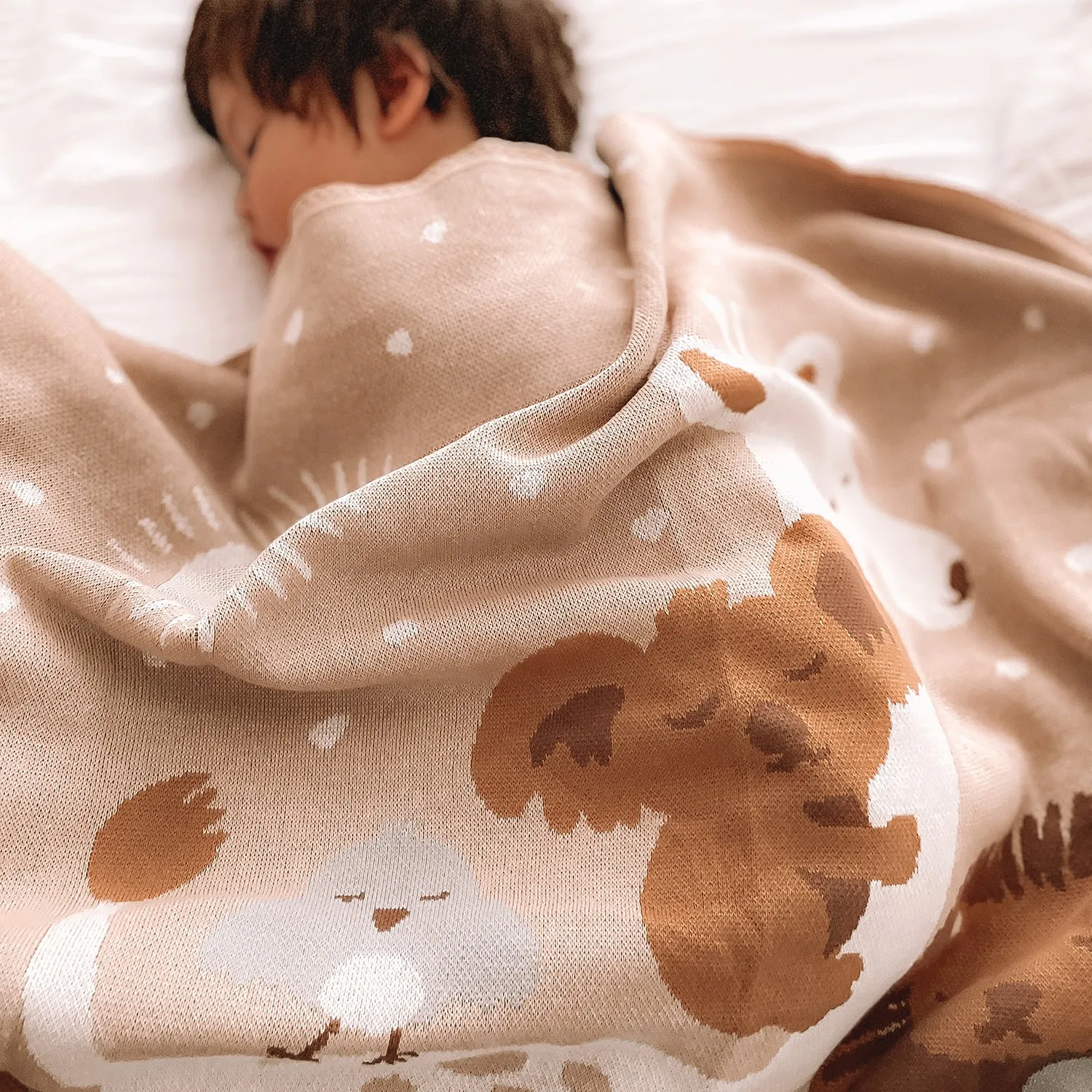 Fox & Fallow Blanket - Welcome Party